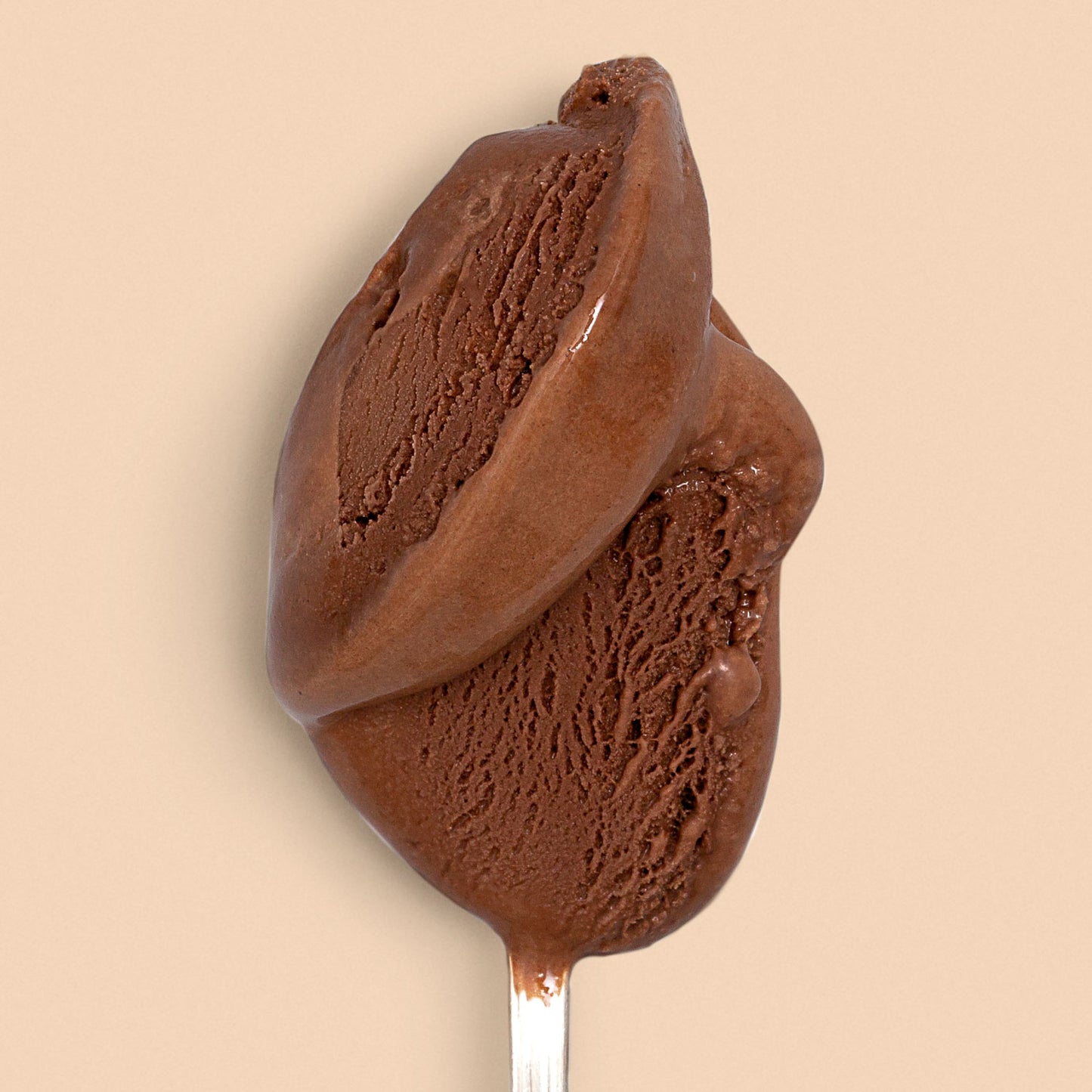 Darkest Chocolate Pint Jeni's Splendid Ice Creams