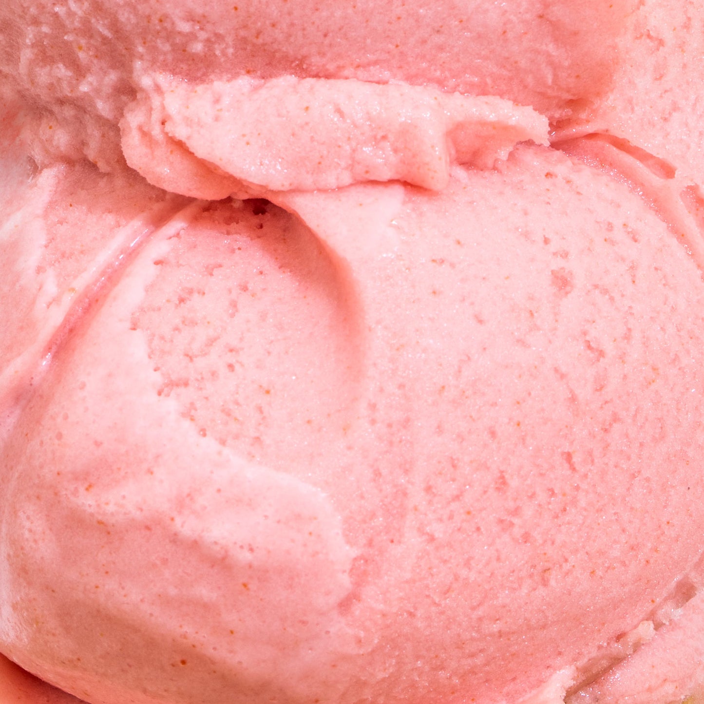 Frosé Sorbet Pint Jeni's Splendid Ice Creams
