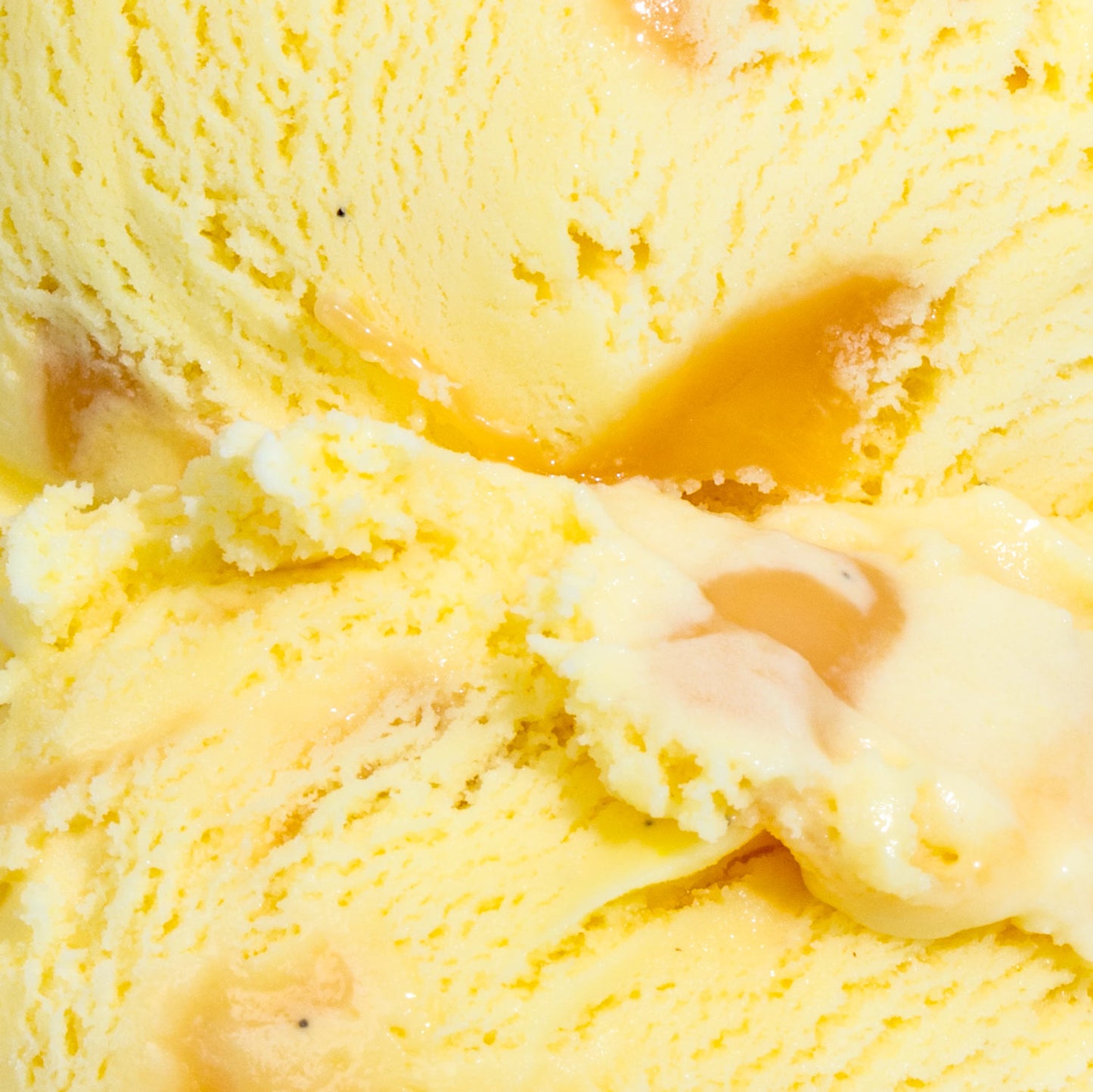 Golden Nectar Pint Jeni's Splendid Ice Creams