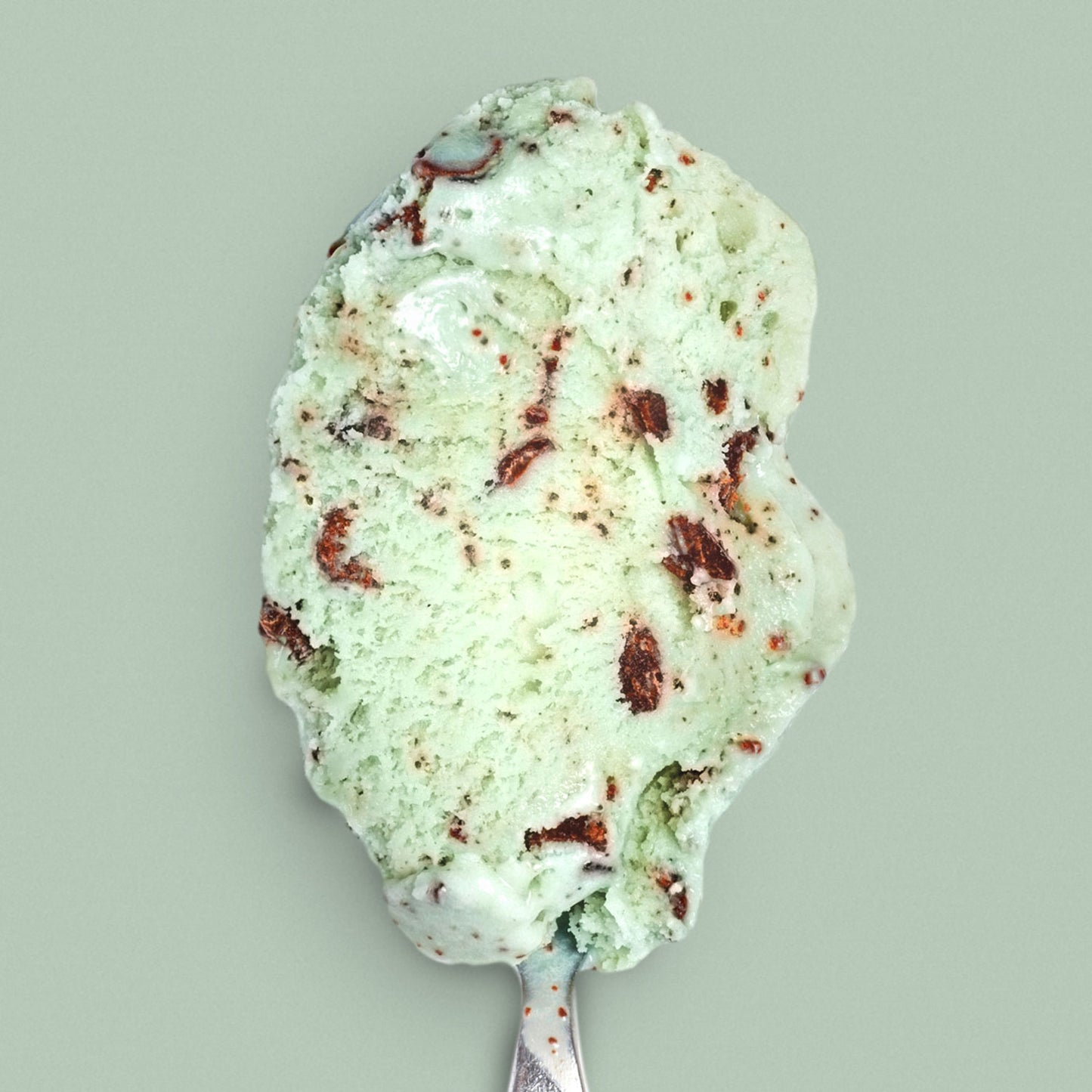 Green Mint Chip Pint Jeni's Splendid Ice Creams