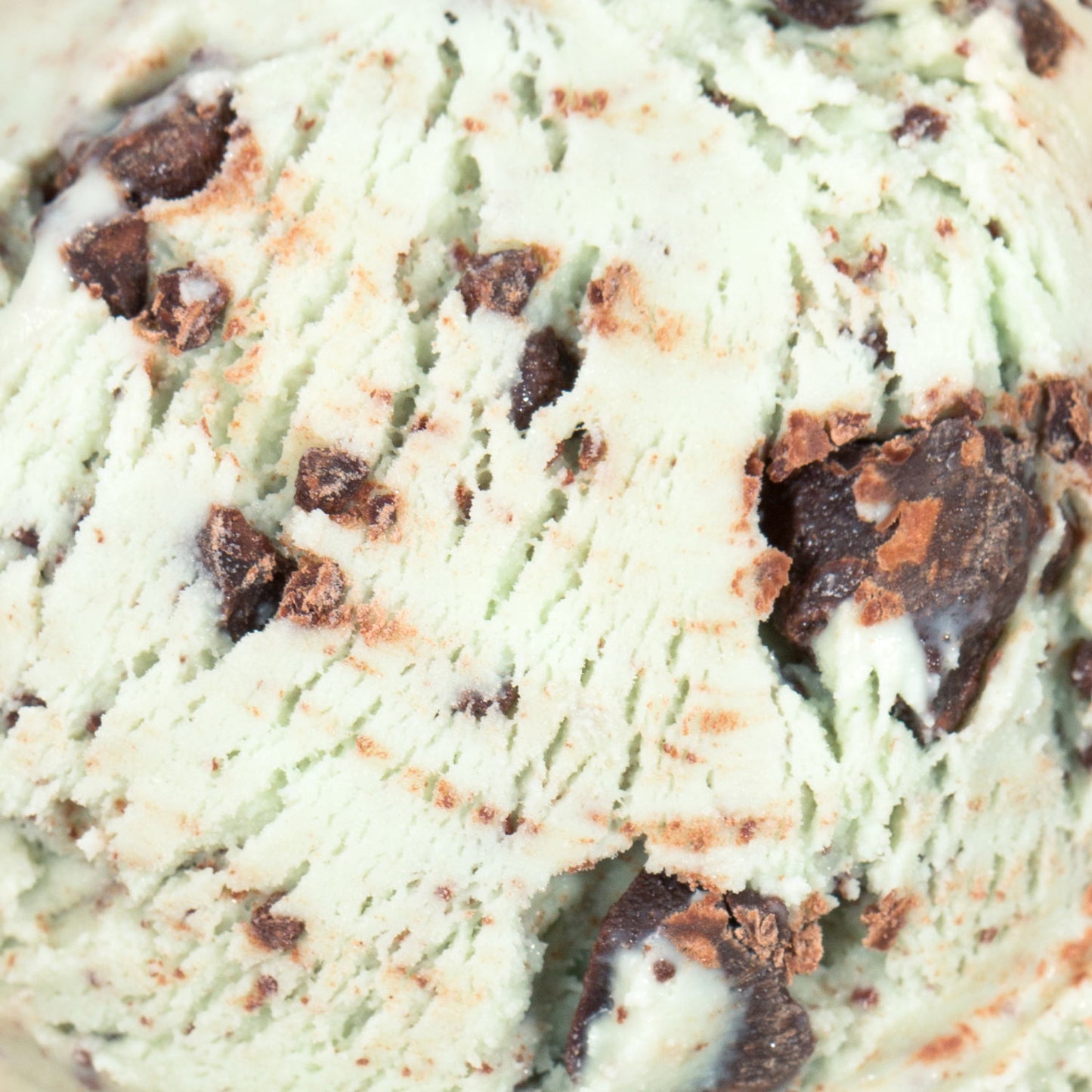 Green Mint Chip Pint Jeni's Splendid Ice Creams