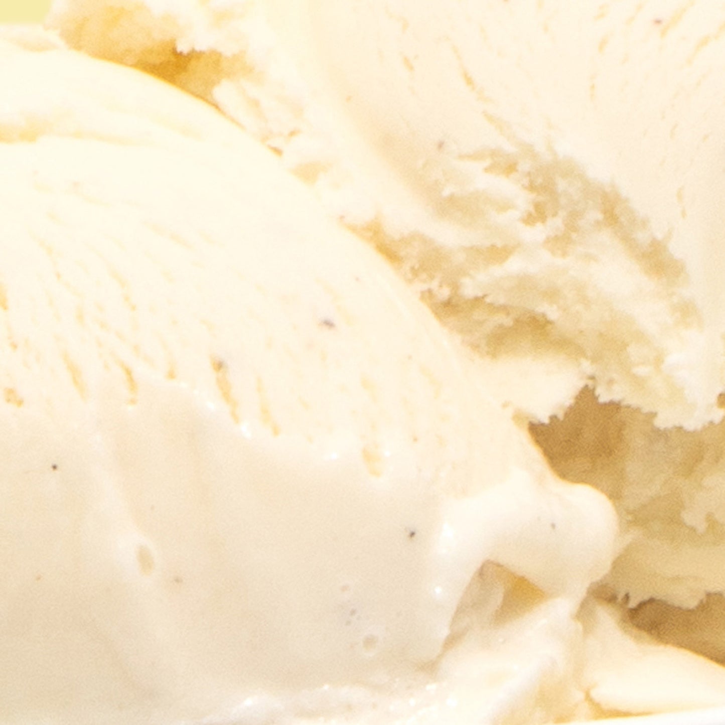 Honey Vanilla Bean Pint Jeni's Splendid Ice Creams
