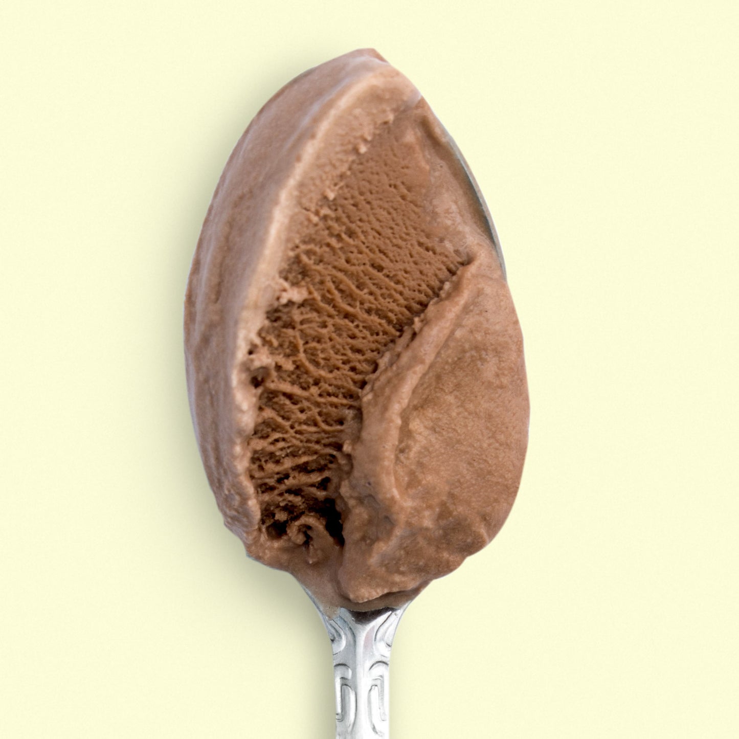Milkiest Chocolate Pint Jeni's Splendid Ice Creams