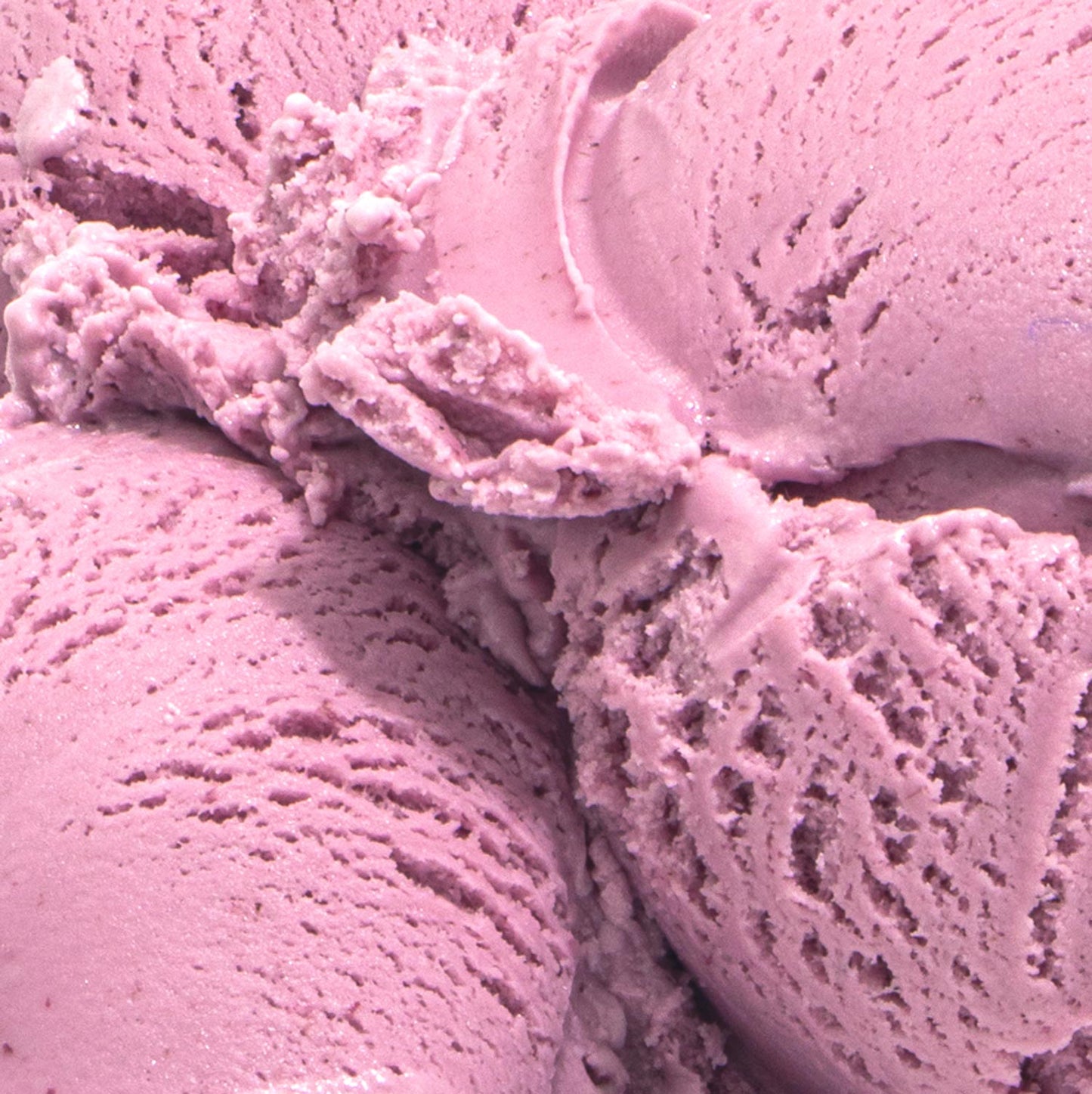 Wildberry Lavender Pint Jeni's Splendid Ice Creams