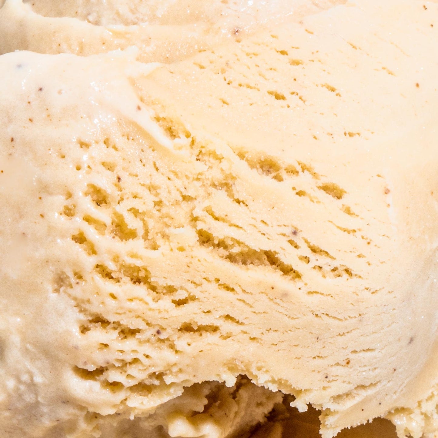 Coffee with Cream & Sugar Pint Jeni's Splendid Ice Creams