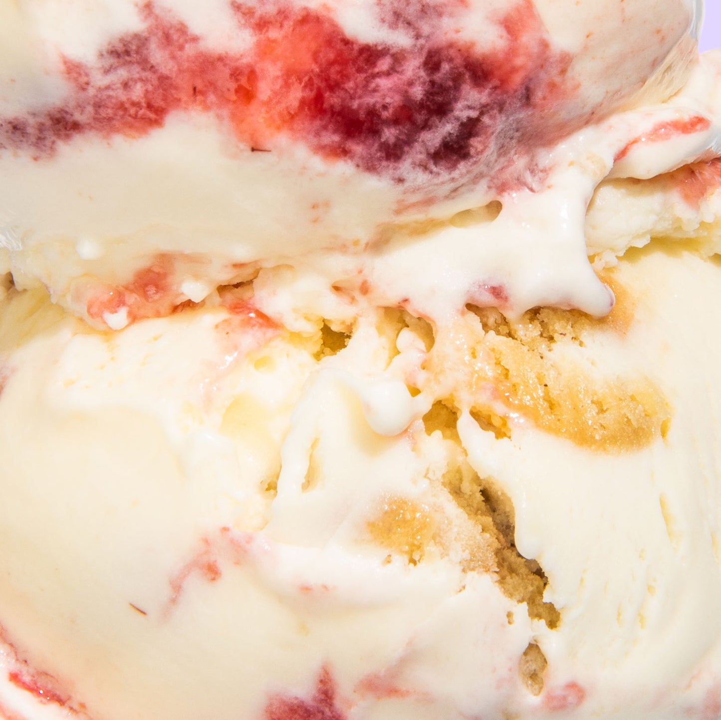 Powdered Jelly Donut Pint Jeni's Splendid Ice Creams