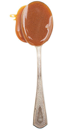 Salted Caramel Sauce Merch Jeni's Splendid Ice Creams